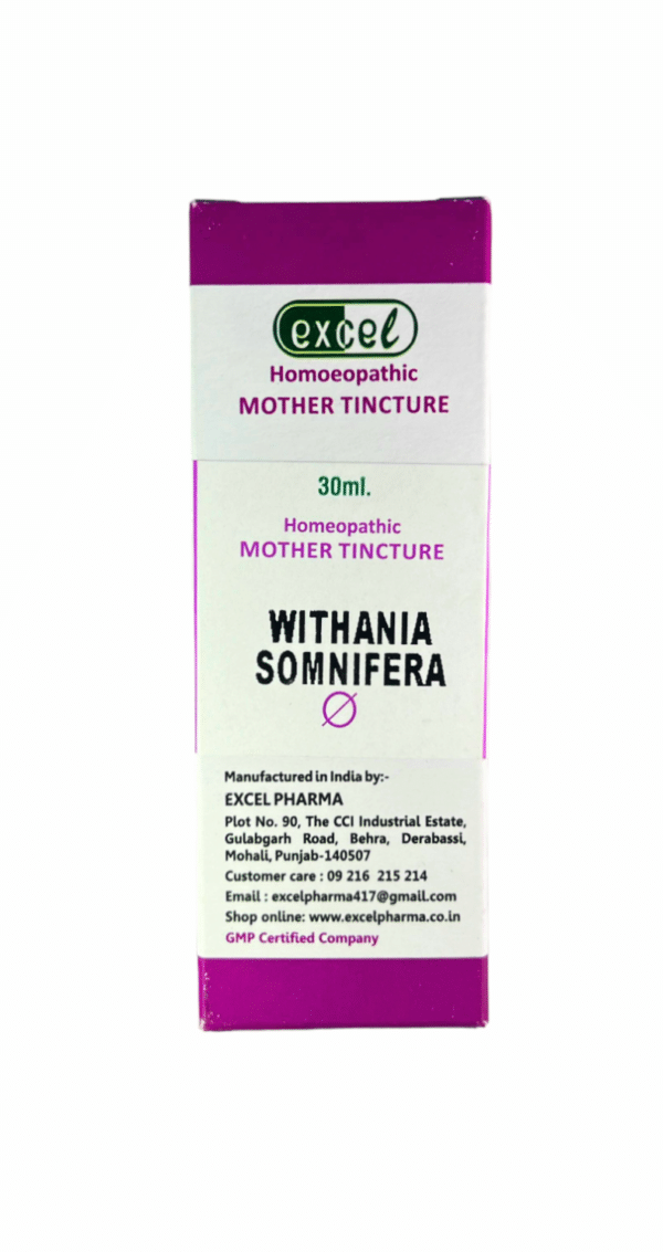 WITHANIA SOMNIFERA - Image 2