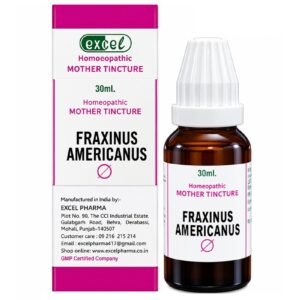 FRAXINUS AMERICANUS